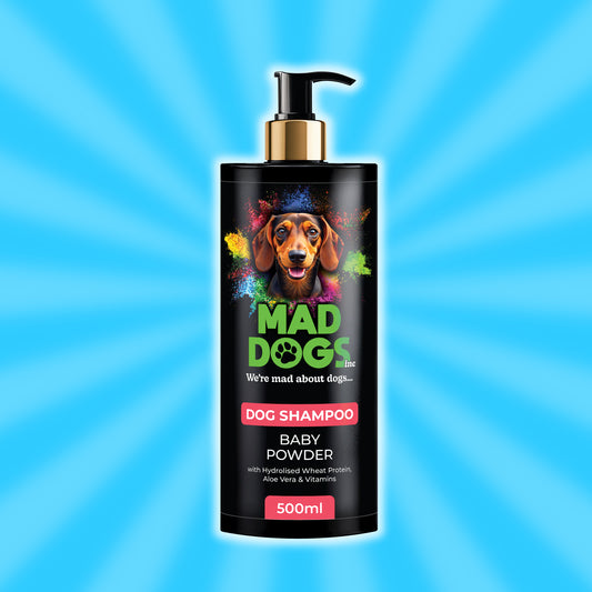 Baby Powder Scented Shampoo