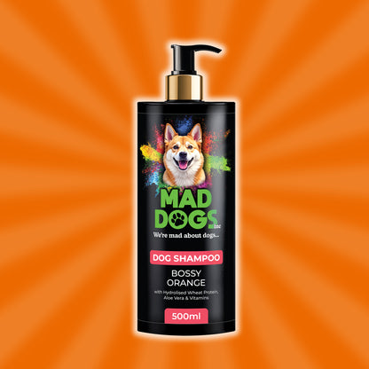 Bossy Orange Scented Shampoo