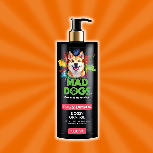 Bossy Orange Scented Shampoo