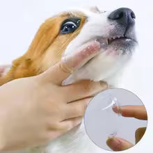 Soft Silicone Finger Toothbrush for Dogs & Cats